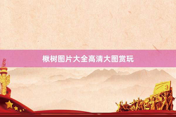 楸树图片大全高清大图赏玩