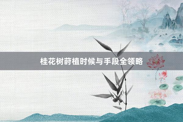 桂花树莳植时候与手段全领略